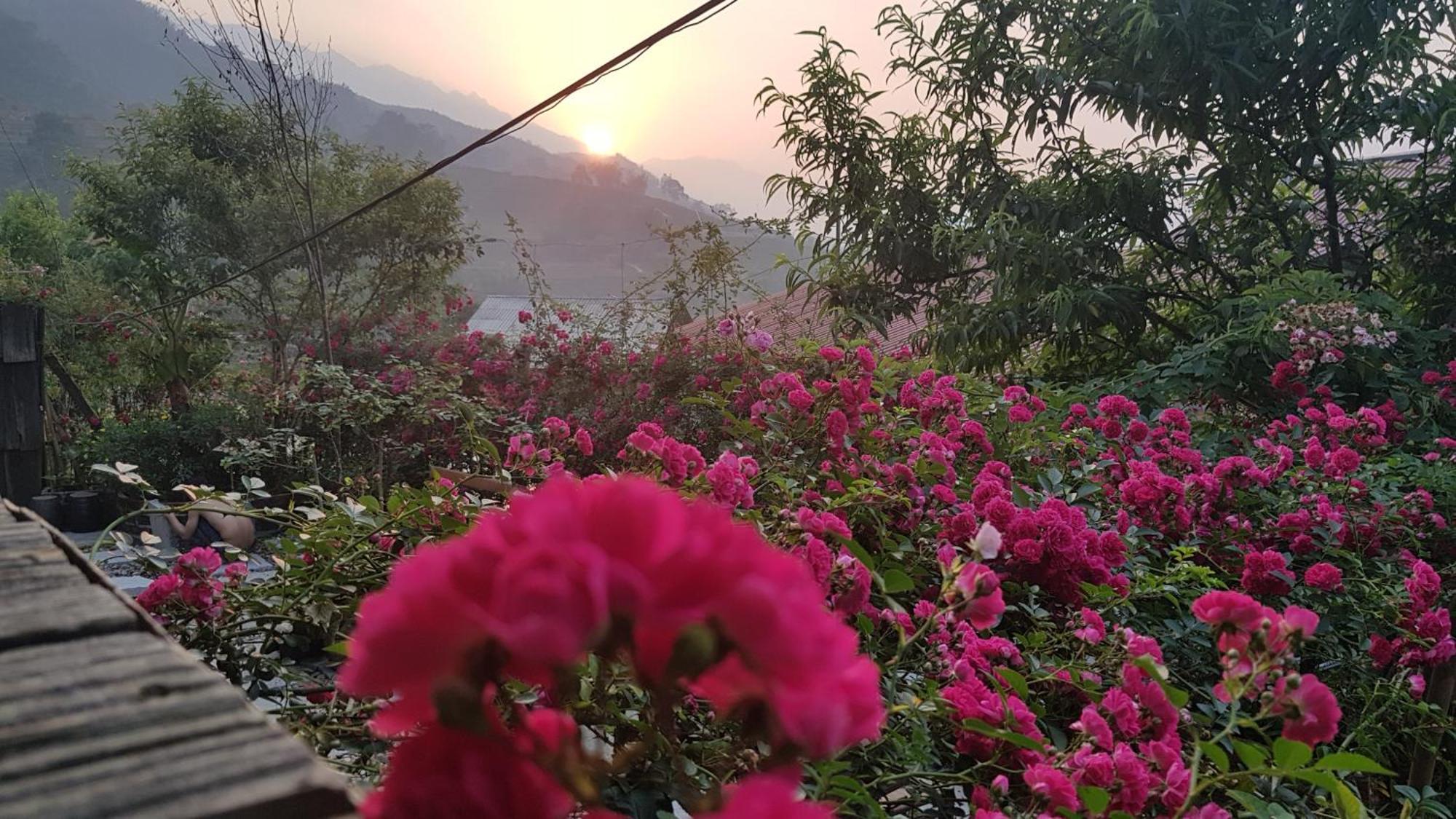 Tavan View Homestay Sa Pa Exterior foto
